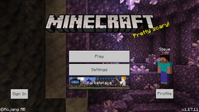 Bedrock 1.17.11.png